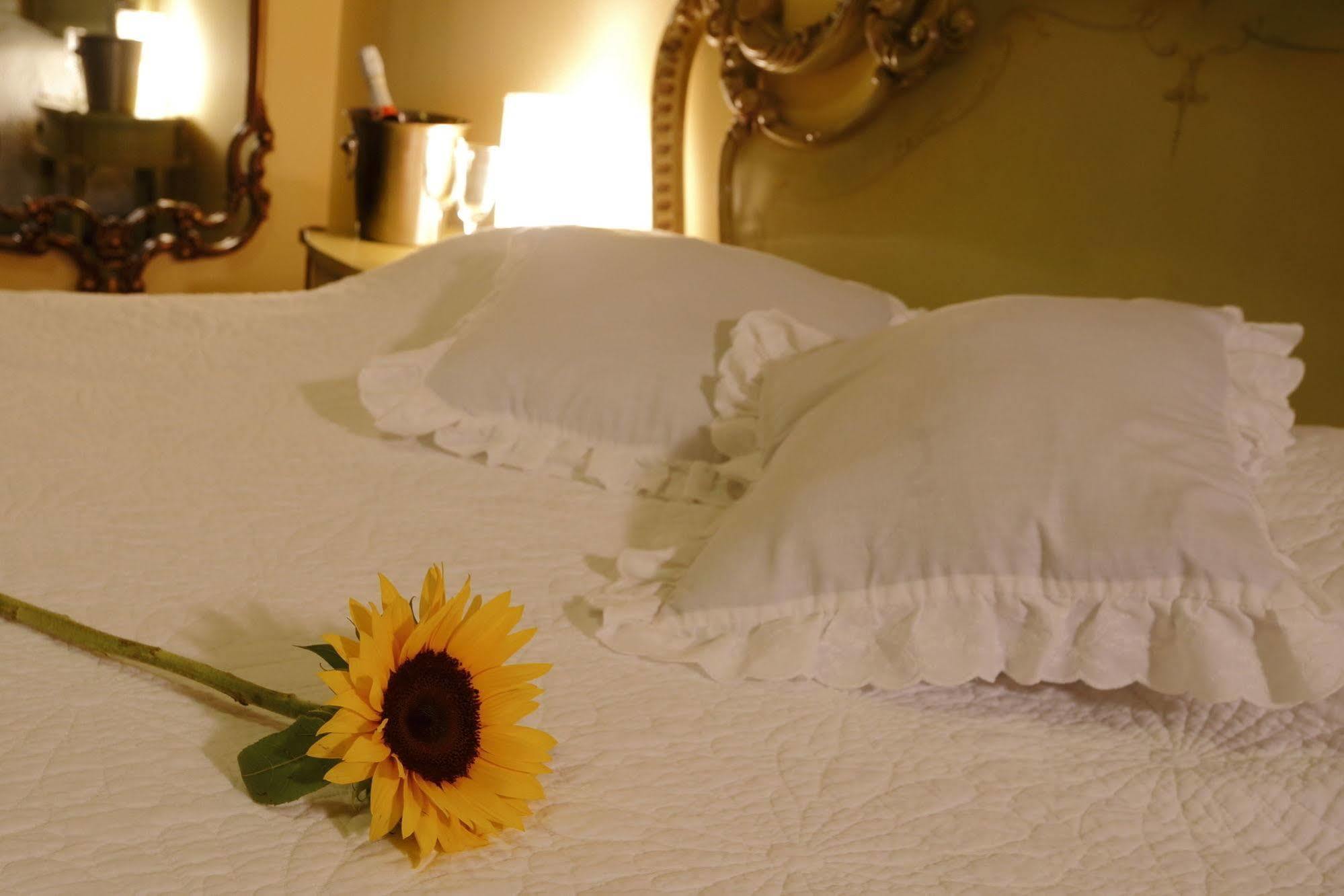 Bed & Breakfast - La Casa De Ceci Lima Eksteriør bilde